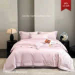 Dayrevo Sakura Blossom Dòng Anh Đào Hồng Nhạt